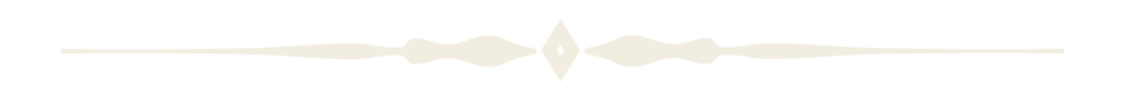 analogvibes_landingpage_ornament_1
